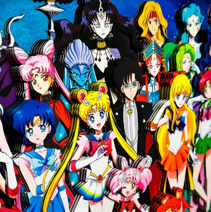 Pretty Guardian Sailor Moon Canvas