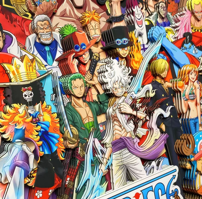 ONE PIECE CANVAS